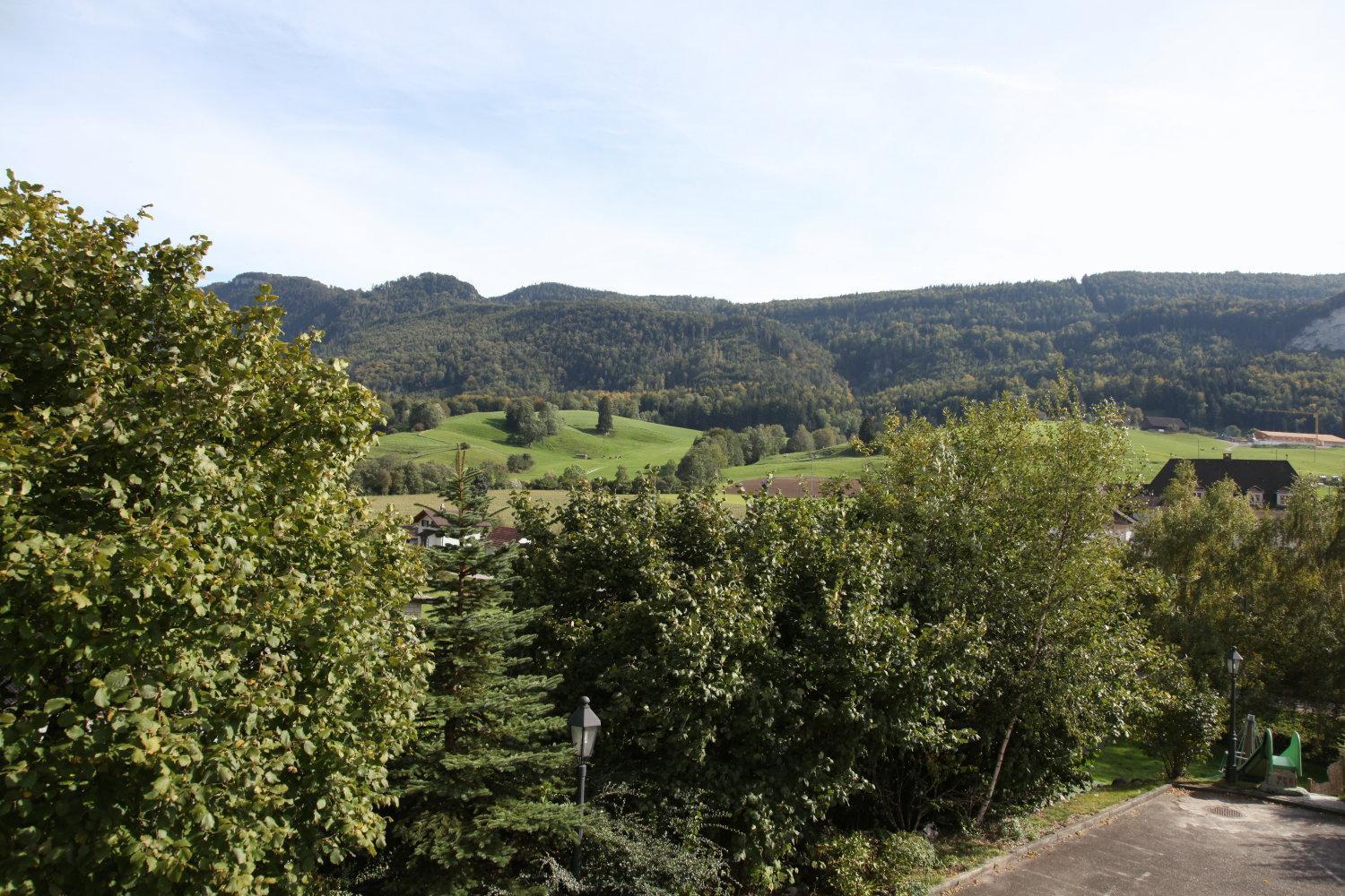 Hotel Gasthof Kreuz Welschenrohr Exteriör bild